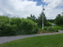 Lakefield Horticultural Society: Gardens  