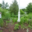 Lakefield Horticultural Society: Gardens  