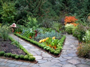 edible-garden-design-12-useful-ideas-to-create-your-own-edible-garden
