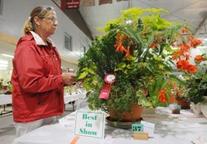 Toni Sinclair, with the Lakefield Horticultural Society, checks out the Best In Show winner at the Antique and Flower Show and Sale held at the Lakefield Community Centre on Wednesday (Aug. 13). The show wrapped up on Thursday and features flower displays from 28 exhibitors alongside several antique dealers. This was the largest show in the show and sale's 37 years. Lance Anderson/This Week