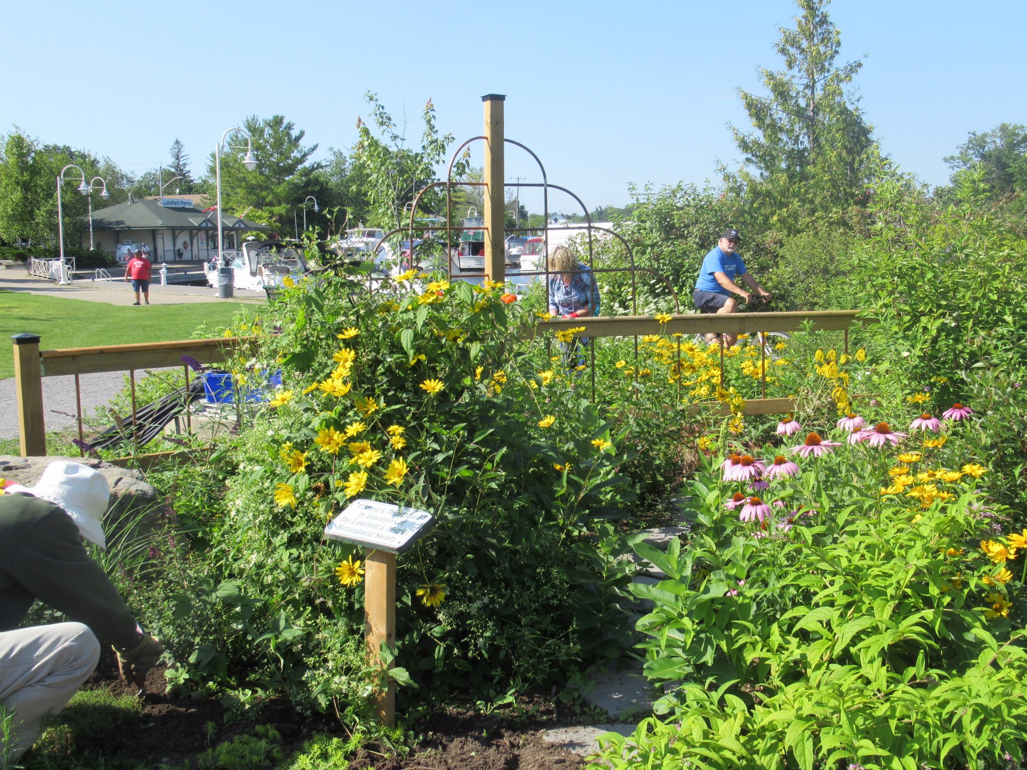 What We Do Lakefield Horticultural Society