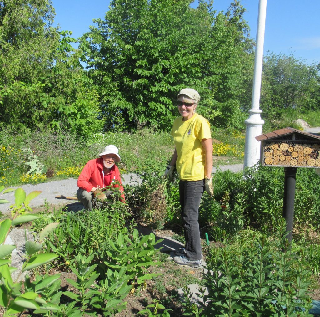 What We Do Lakefield Horticultural Society